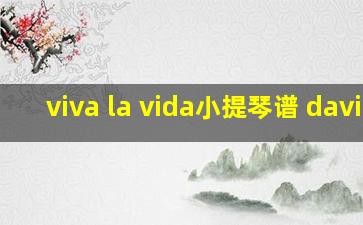 viva la vida小提琴谱 david